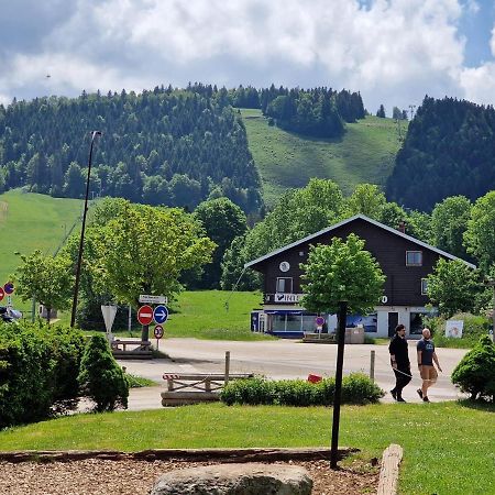 Place Royale Pour 10 A 12 Personnes A 30 Met Des Pistes De Ski Et Vtt Métabief エクステリア 写真