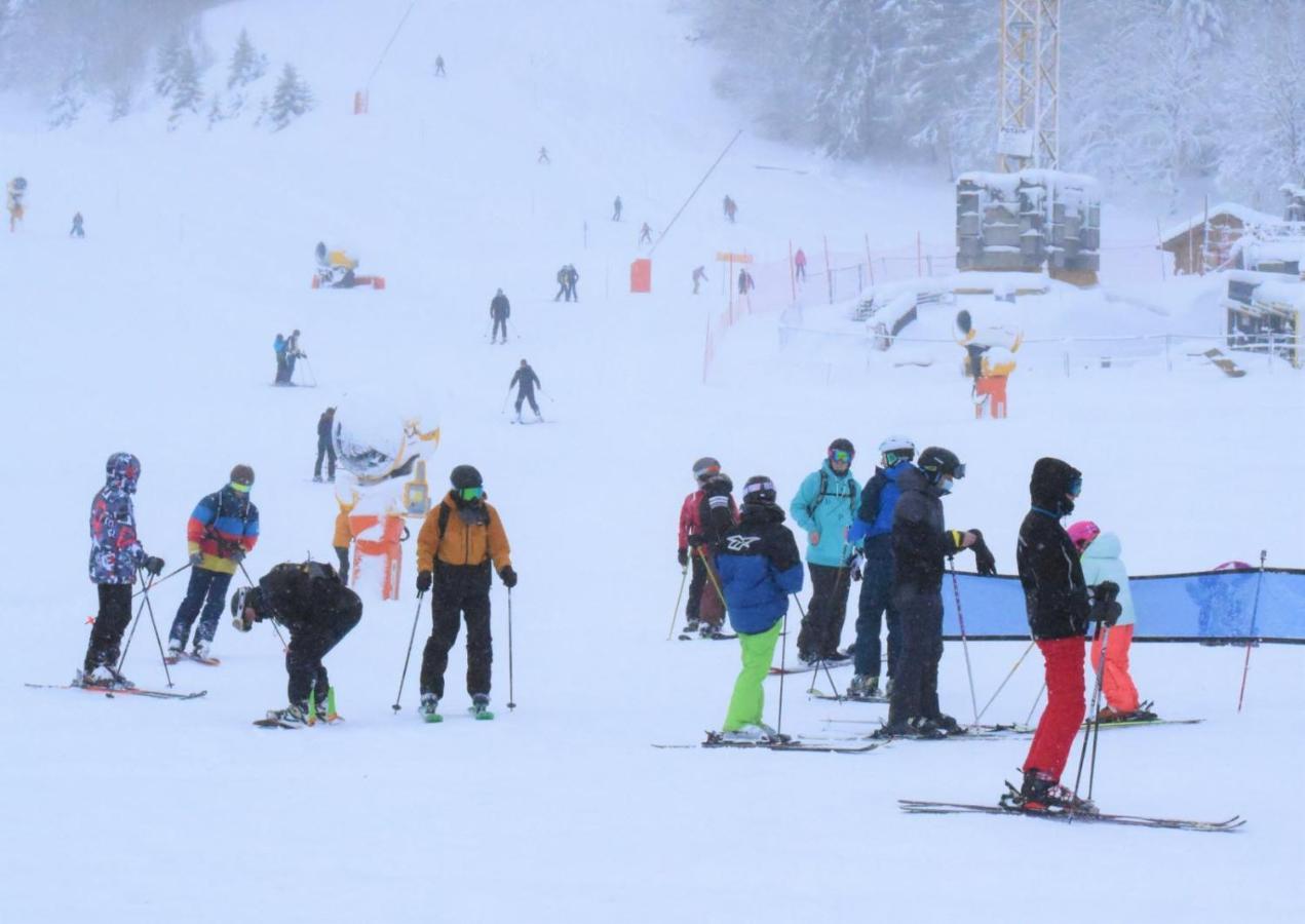Place Royale Pour 10 A 12 Personnes A 30 Met Des Pistes De Ski Et Vtt Métabief エクステリア 写真
