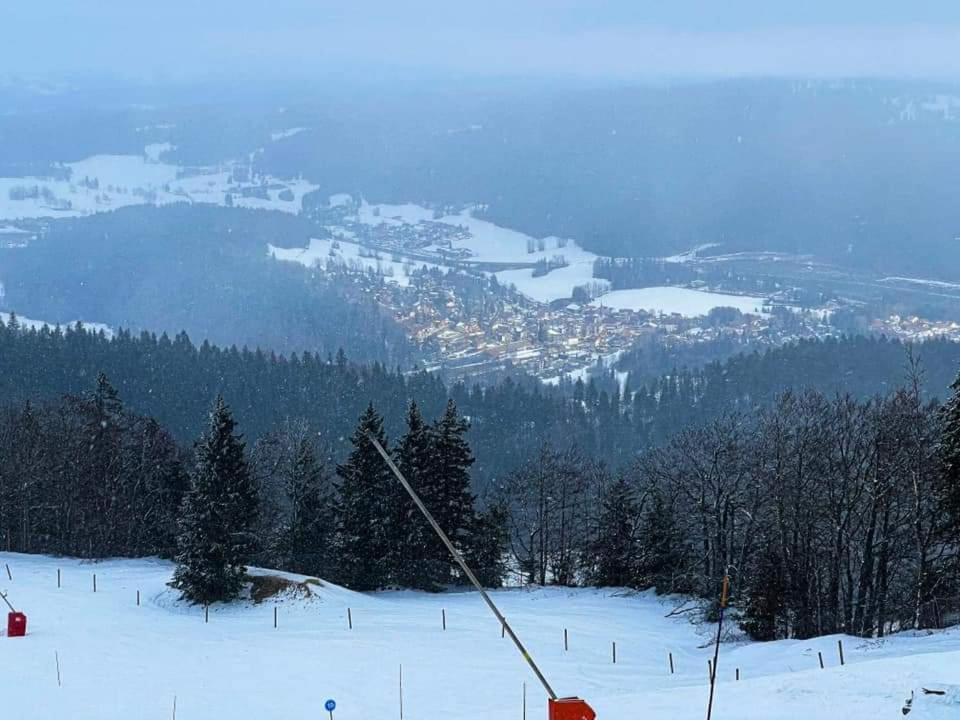 Place Royale Pour 10 A 12 Personnes A 30 Met Des Pistes De Ski Et Vtt Métabief エクステリア 写真
