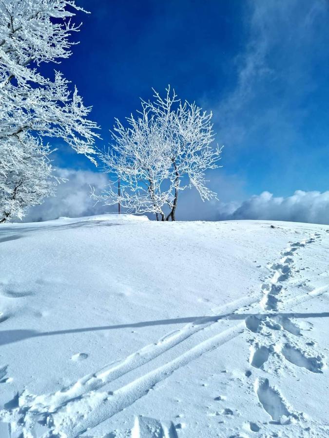 Place Royale Pour 10 A 12 Personnes A 30 Met Des Pistes De Ski Et Vtt Métabief エクステリア 写真