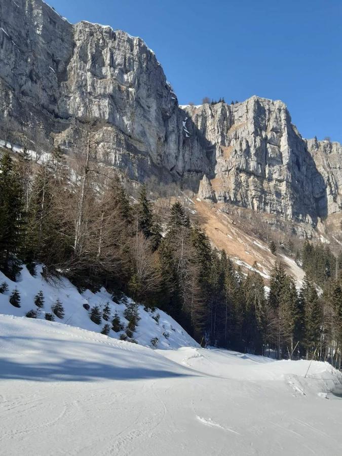 Place Royale Pour 10 A 12 Personnes A 30 Met Des Pistes De Ski Et Vtt Métabief エクステリア 写真