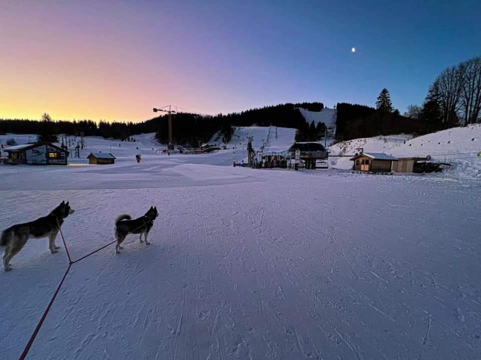 Place Royale Pour 10 A 12 Personnes A 30 Met Des Pistes De Ski Et Vtt Métabief エクステリア 写真