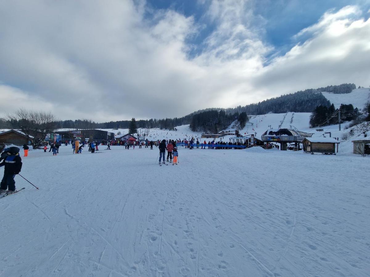 Place Royale Pour 10 A 12 Personnes A 30 Met Des Pistes De Ski Et Vtt Métabief エクステリア 写真